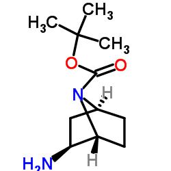 rel-叔丁基(1R,2S,4S)-2-氨基-7-氮杂双环[2.2.1]庚烷-7-羧酸结构式