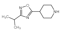 4-(3-异丙基-1,2,4-恶二唑-5-基)哌啶结构式