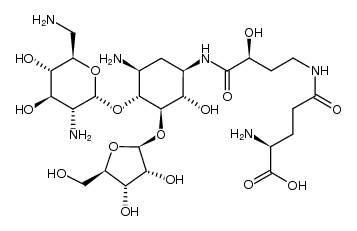 γ-L-Glu-butirosin B结构式