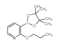2-丙氧基-3-(4,4,5,5-四甲基-1,3,2-二氧硼杂环戊烷-2-基)吡啶结构式