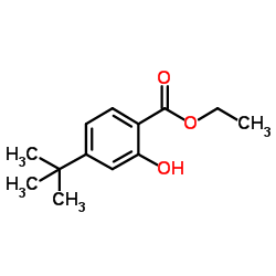 Ethyl 2-hydroxy-4-(2-methyl-2-propanyl)benzoate结构式