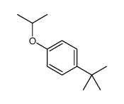 1-tert-butyl-4-propan-2-yloxybenzene Structure