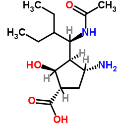 (1S,2S,3R,4R)-3-[(1R)-1-Acetamido-2-ethylbutyl]-4-amino-2-hydroxycyclopentanecarboxylic acid Structure