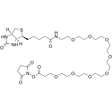 Biotin-PEG8-NHS ester Structure