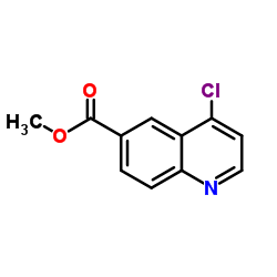 4-氯喹啉-6-羧酸甲酯结构式