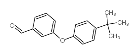 3-(4-叔丁基苯氧基)苯甲醛结构式