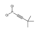 dichloro(3,3-dimethylbut-1-ynyl)phosphane Structure