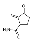 Cyclopentanecarboxamide, 2-methylene-3-oxo- (9CI) picture