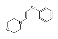 4-(2-phenylselanylethenyl)morpholine结构式