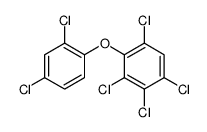 2,2',4,4',5,6-hexachlorodiphenyl ether结构式