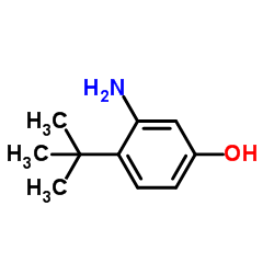 3-Amino-4-(2-methyl-2-propanyl)phenol结构式