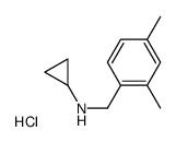 N-环丙基2,4-二甲基苄胺盐酸盐结构式