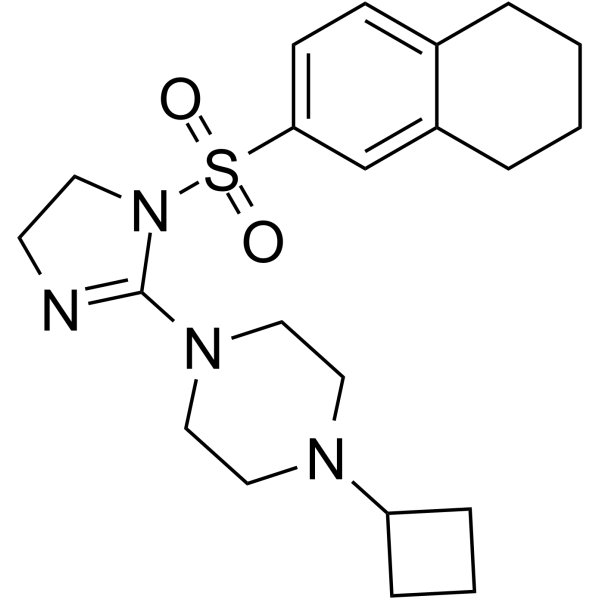 1965248-33-2 structure