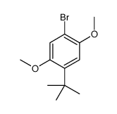 1-bromo-4-tert-butyl-2,5-dimethoxybenzene结构式