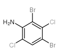 Benzenamine,2,4-dibromo-3,6-dichloro- Structure