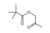 2-oxopropyl 2,2-dimethylpropanoate结构式