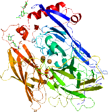 胆红素氧化酶结构式