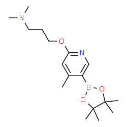N,N-dimethyl-3-((4-Methyl-5-(4,4,5,5-tetramethyl-1,3,2-dioxaborolan-2-yl)pyridin-2-yl)oxy)propan-1-amine结构式