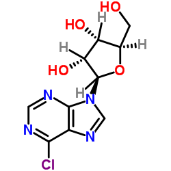 6-氯嘌呤核苷图片