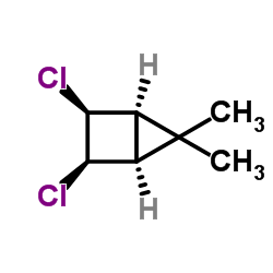 Bicyclo[2.1.0]pentane, 2,3-dichloro-5,5-dimethyl-, (1-alpha-,2-ba-,3-ba-,4-alpha-)- (9CI)结构式