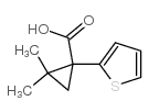 2,2-dimethyl-1-thiophen-2-ylcyclopropane-1-carboxylic acid结构式