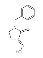 1-benzyl-pyrrolidine-2,3-dione-3-oxime Structure