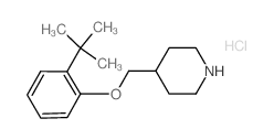 2-(tert-Butyl)phenyl 4-piperidinylmethyl ether hydrochloride结构式