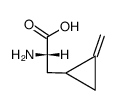 (S)-2-amino-3-((S)-2-methylene-cyclopropyl)-propionic acid Structure