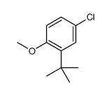 2-tert-butyl-4-chloro-1-methoxybenzene结构式