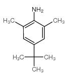 4-叔丁基-2,6-二甲基-苯胺结构式