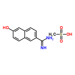 6-amidino-2-naphthol methanesulfonate Structure
