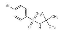 4-溴-N-(叔丁基)苯磺酰胺结构式