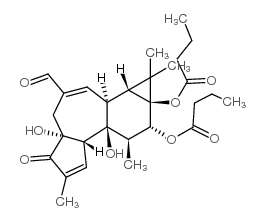 20-氧代-20-脱氧佛波醇-12,13-二丁酸结构式