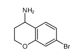 7-溴苯并二氢吡喃-4-胺结构式