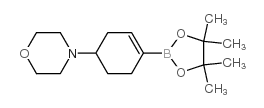 4-(4-(4,4,5,5-四甲基-1,3,2-二噁硼烷-2-基)-3-环己烯)吗啉结构式