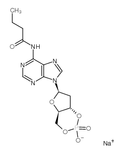 N6-单丁酰基-2'-脱氧腺苷-3'：5'-环一磷酸钠盐结构式