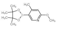 2-甲氧基-4-甲基-5-(4,4,5,5-四甲基-1,3,2-二氧硼杂环戊烷-2-基)吡啶结构式