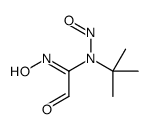 N-tert-butyl-N'-hydroxy-N-nitroso-2-oxoethanimidamide结构式