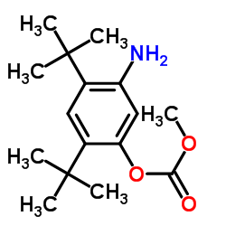 5-氨基-2,4-二叔丁基苯甲酸甲酯结构式