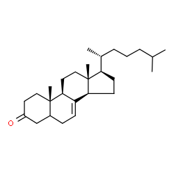 Cholest-7-en-3-one结构式