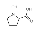 N-Hydroxy-L-proline结构式