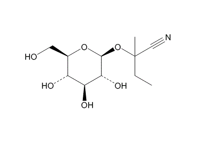 1973415-50-7 structure