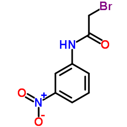 2-Bromo-N-(3-nitrophenyl)acetamide Structure