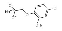 (4-氯-2-甲基苯氧基)乙酸钠盐结构式