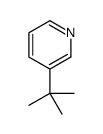 3-(tert-Butyl)pyridine结构式