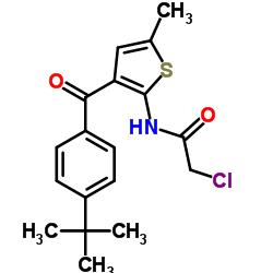 2-Chloro-N-{5-methyl-3-[4-(2-methyl-2-propanyl)benzoyl]-2-thienyl}acetamide Structure