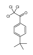 P-叔丁基-2,2,2-三氯苯乙酮结构式