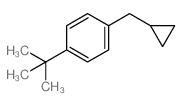1-(cyclopropylmethyl)-4-tert-butyl-benzene结构式