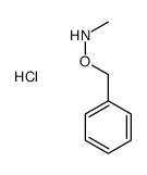 O-Benzyl-N-methylhydroxylamine hydrochloride Structure