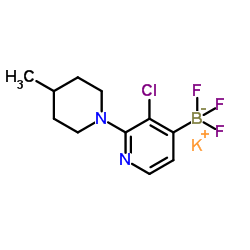potassium (3-chloro-2-(4-Methylpiperidin-1-yl)pyridin-4-yl)trifluoroborate Structure